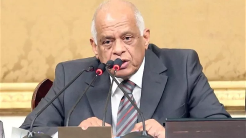 عبدالعال :رئيس الوزراء يشارك فى جلسة البرلمان.. غدا