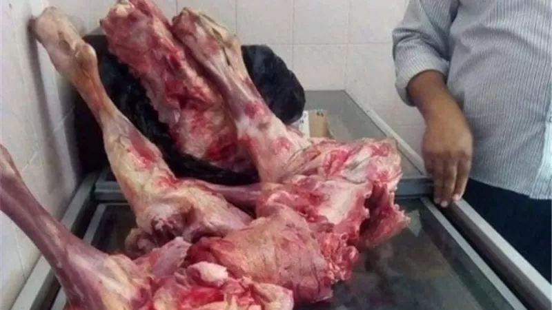 ضبط لحوم وأدوية بيطرية منتهية الصلاحية فى حملة تموينية بالبحيرة