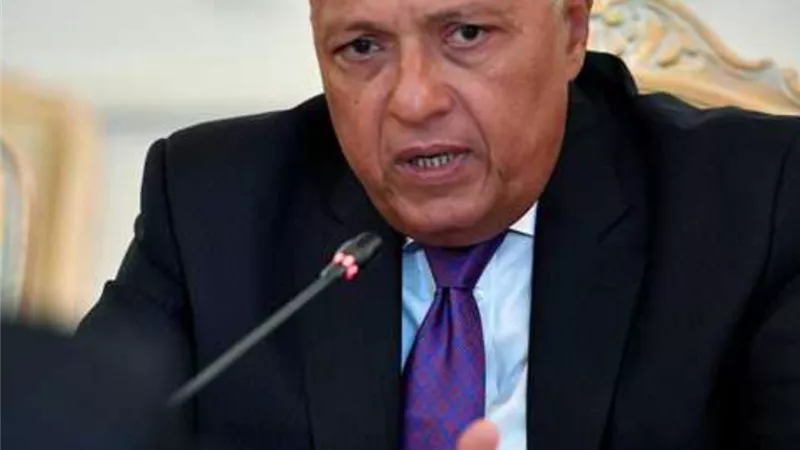 سامح شكري : مضي اثيوبيا فى تنفيذ سد النهضة دون اتفاق امر مرفوض