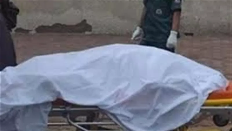 عامل يمزق جسد زميله في مشاجرة بقليوب