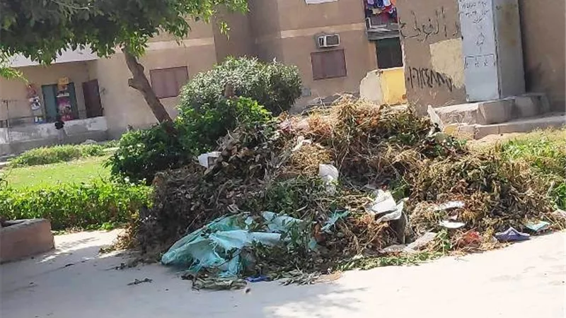 جبال القمامة تنتشر فى شوارع الصالحية الجديدة والجهاز نايم فى العسل.. بالڤيديو