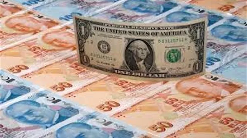 الليرة التركية تهبط إلى 5.9 مقابل الدولار بعد تهديد أمريكي بعقوبات على أنقرة