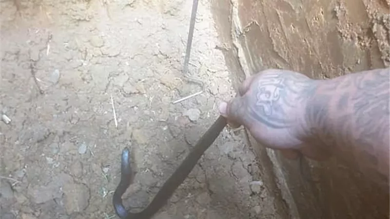 شاهد بالصوت والصورة ثعبان يتسلل إلى داخل قبر ميت أثناء مراسم الجنازة