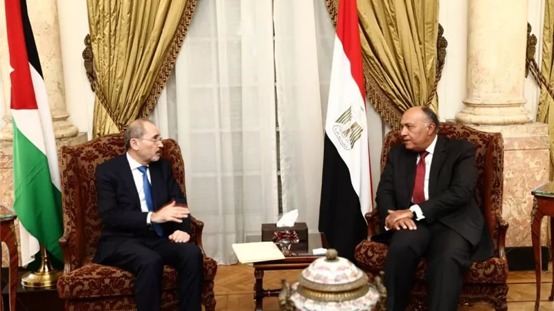 شكري يستقبل نظيره الاردني ويناقشا سبل الحفاظ على سيادة سوريا وسلامة اراضيها