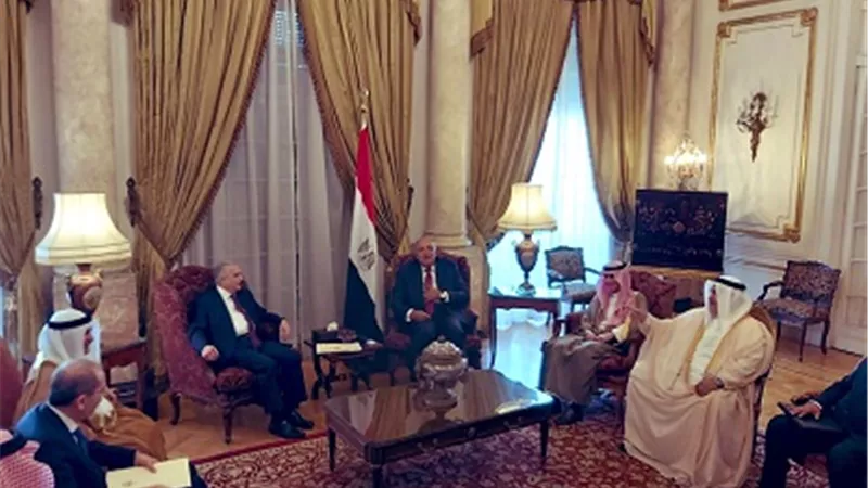 شكري يجتمع مع 5 وزراء في إطار التباحُث حول العدوان التركي على سوريا