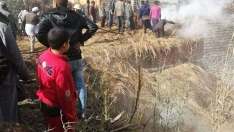 نفوق ١٥ رأس ماشية فى حريق بحظيرة مواشى بالوادى الجديد