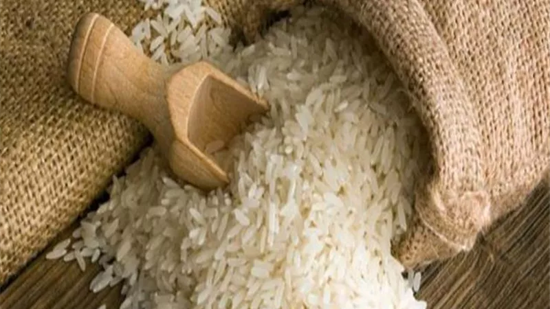 غانم يكشف أسباب هبوط أسعار الأرز إلي ٢١٣ دولار للطن