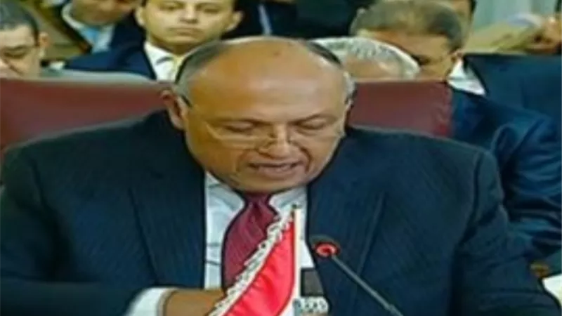 شكري : تركيا تحاول التغلب على ازماتها الداخلية بتدشين فصل جديد من الاعتداء السافر على السيادة السورية