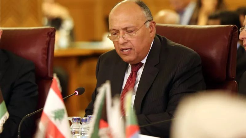 شكري : ما يحدث يؤكد تهافت النظام التركى ومحاولة إخفاء احتضانه للإرهاب وتوظيفه