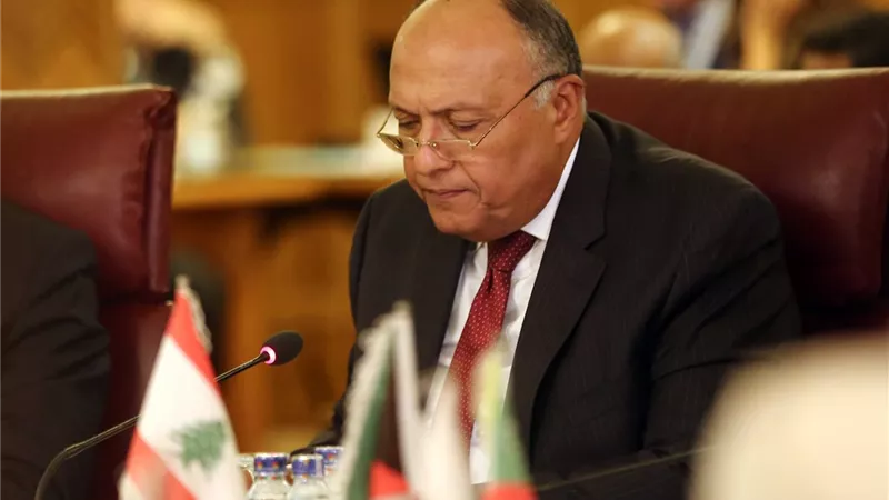 شكري : موقف مصر ثابت تجاه استقرار وسيادة الدول في مواجهة أي اعتداء خارجي أو التدخل في الشئون العربية