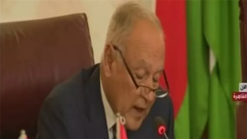 ابو الغيط عن تداعيات الازمة السورية: ١٢ الف ارهابي بالسجون تسعى تركيا لتحريرهم