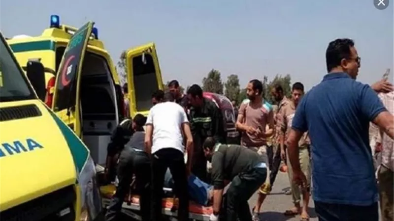 مصرع شاب صدمته سيارة نقل علي طريق بلقاس جمصه بالدقهلية