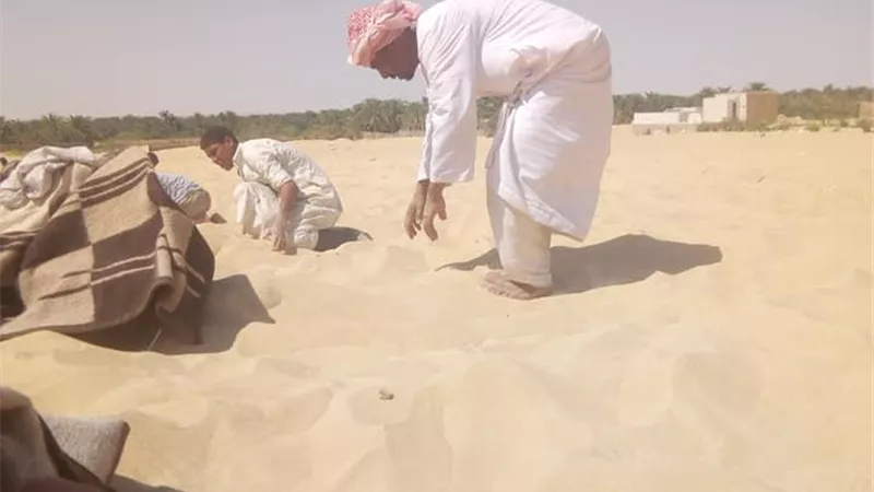 واحة سيوة تستقبل مرضى الأمراض المزمنة من مختلف بلدان العالم