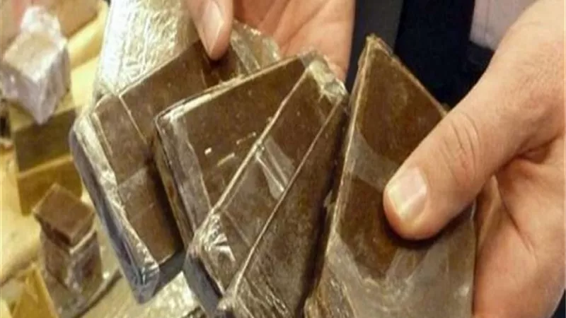 ضبط عاطلين بحوزتهما 10طرب حشيش بالبحيرة