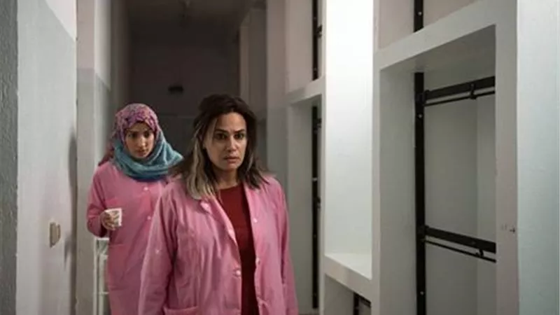 اليوم.. 