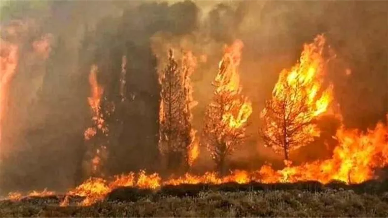 الحرائق تجتاح لبنان وسوريا