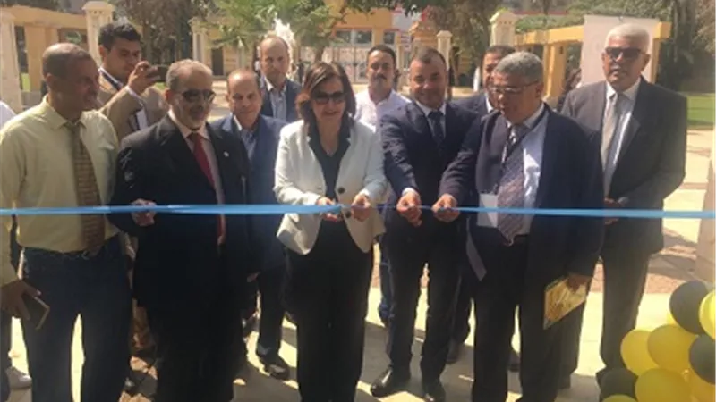 إطلاق أول مهرجان مصري لعسل النحل