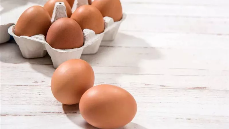 5 أطعمة غنية بالكوليسترول.. لا تكثر من تناولها