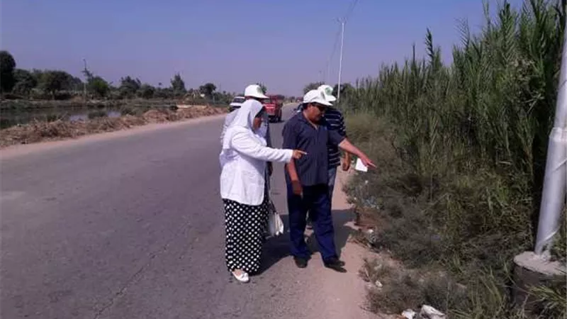 الإسماعيلية تكافح القوارض بإجراءات وتوصيات..صور
