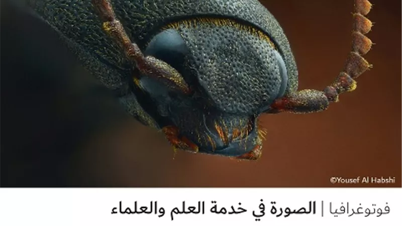 الصورة في خدمة العلم والعلماء