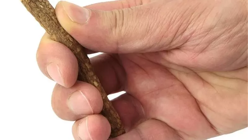 بيان حكم استعمال السواك وفرشاة الأسنان أثناء الصيام