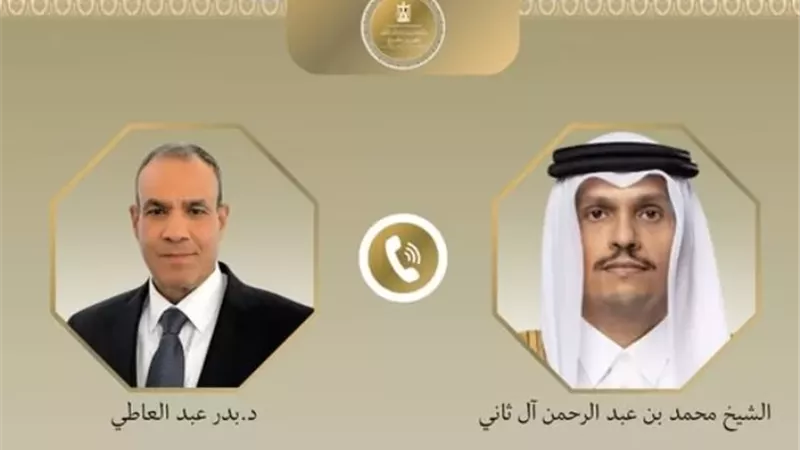 وزير الخارجية يبحث مع رئيس وزراء وزير خارجية قطر التطورات الإقليمية