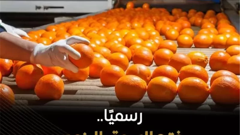 وزارة الزراعة تعلن فتح السوق البنمي أمام صادرات الموالح المصرية