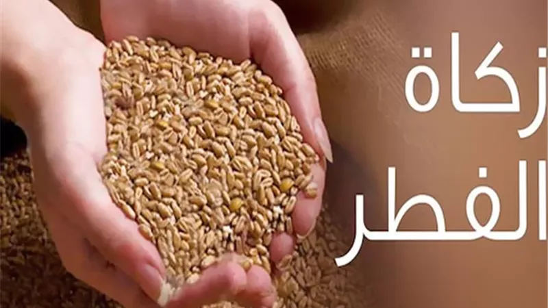 على من تجب زكاة فطر المرأة؟..الإفتاء تُجيب