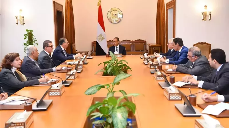 وزير الخارجية يوجه بتكثيف متابعة أوضاع المصريين بالخارج