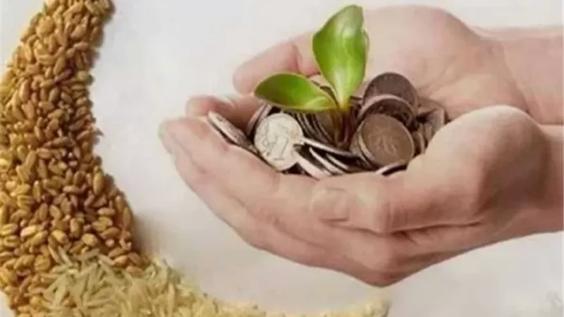 دقيقة فقهية: حكم إخراج زكاة الفطر عن الأولاد المتزوجين