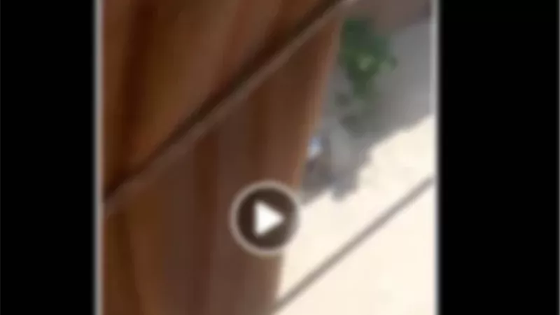 فيديو قديم.. الأمن يكشف حقيقة واقعة 