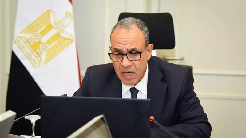 وزير الخارجية: أمن دول الخليج جزء لا يتجزأ من الأمن القومي المصري والعربي