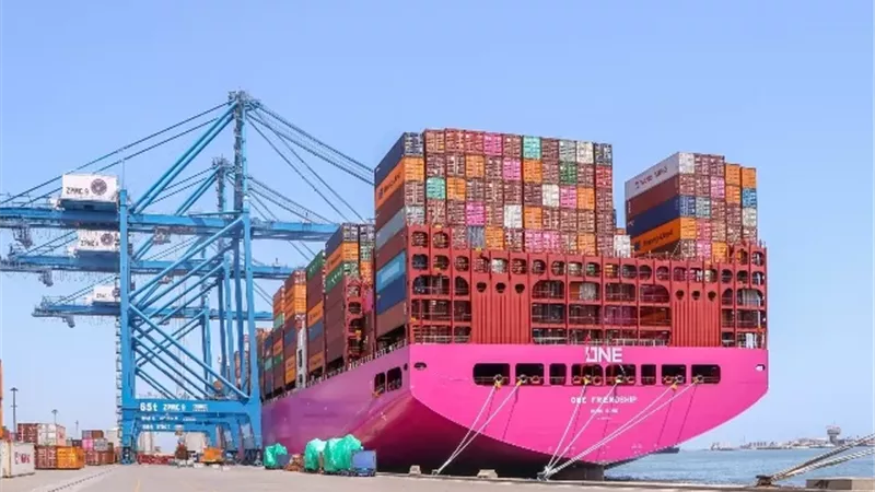 تصدير ١٤٦٥ حاوية خضار وفاكهة من ميناء دمياط إلى أوروبا