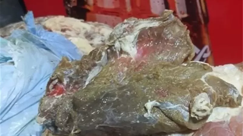 ضبط لحوم ودواجن وأسماك مدخنة غير صالحة للاستهلاك بالغربية
