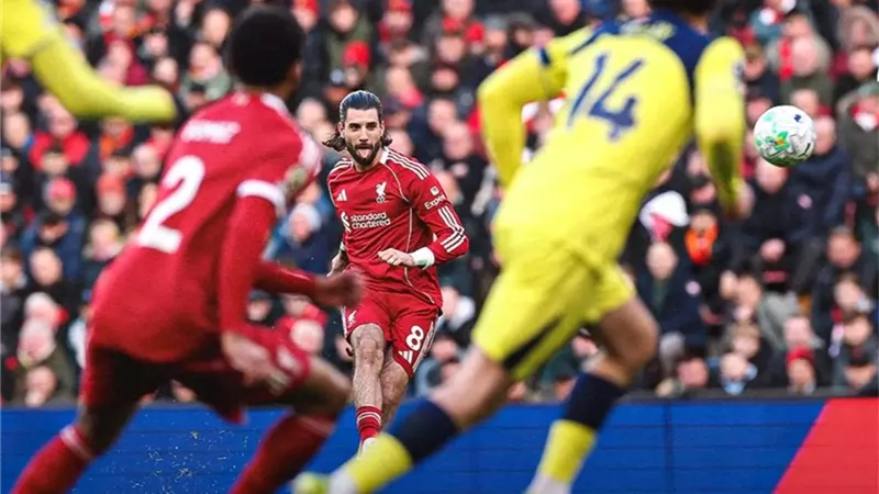 نجم ليفربول يحذر: علينا أن نستيقظ.. أو سنلعب في دوري المؤتمر