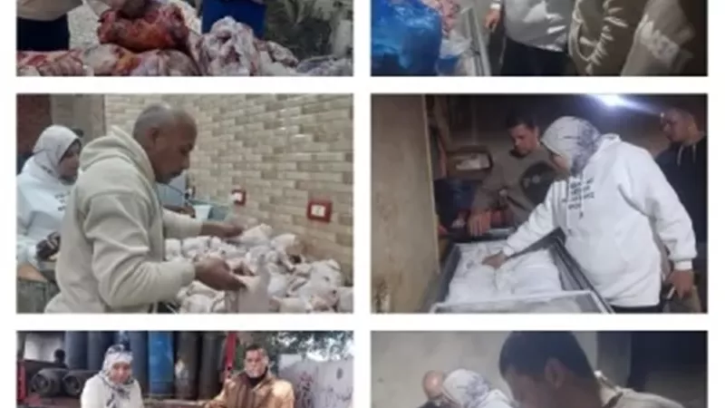 إعدام ربع طن لحوم فاسدة في قويسنا خلال حملة رقابية بالمنوفية