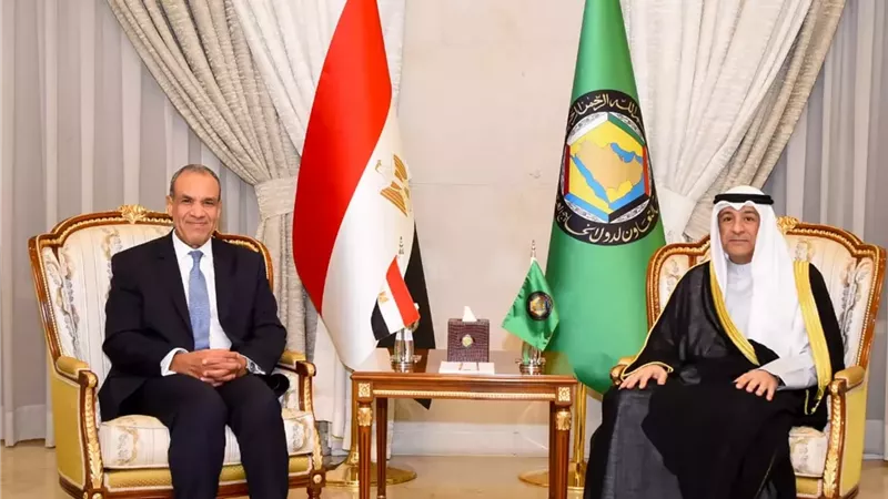 وزير الخارجية: نرفض أي تهديدات أو تدخلات خارجية تمس سيادة دول الخليج العربي أو مقدرات شعوبها