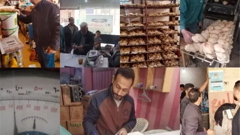 حملات تموينية بالقليوبية تسفر عن تحرير 31 مخالفة متنوعة