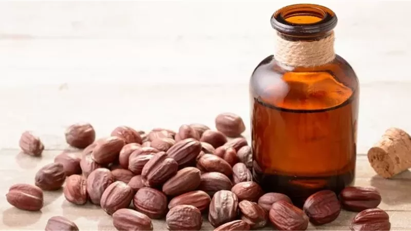 7 فوائد لزيت الجوجوبا.. استخدميه قبل العيد لمظهر متألق