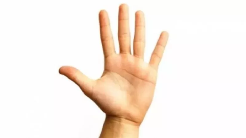لماذا يهيمن أصحاب اليد اليمنى؟ دراسة تكشف سر التفوق البشري