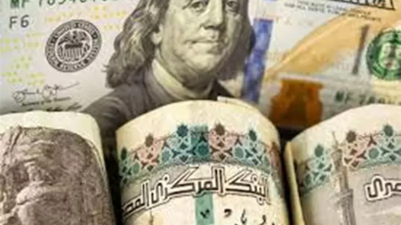 استقرار سعر الدولار أمام الجنيه المصري في ختام تعاملات اليوم