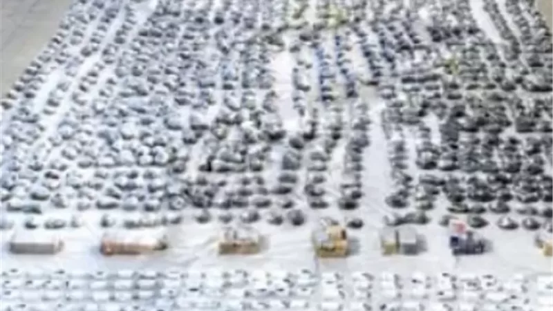 إحباط ترويج 3 أطنان هيدرو وحشيش بقيمة 230 مليون جنيه فى السويس