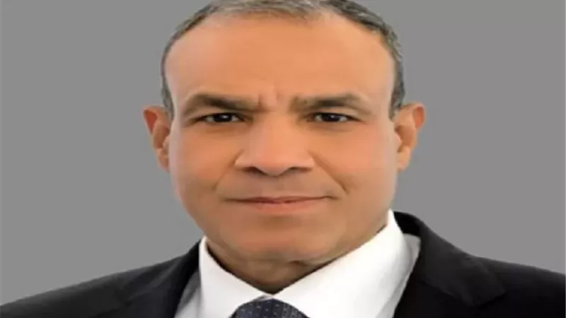 عبدالعاطي: نتائج إيجابية لجولات الرئيس السيسي الخليجية لتهدئة الأزمة