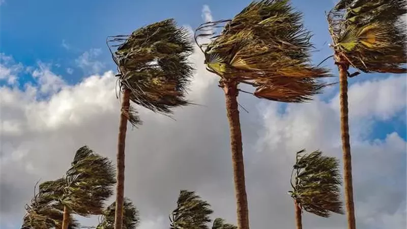 دعاء هبوب الرياح والعواصف من السنة النبوية الصحيحة