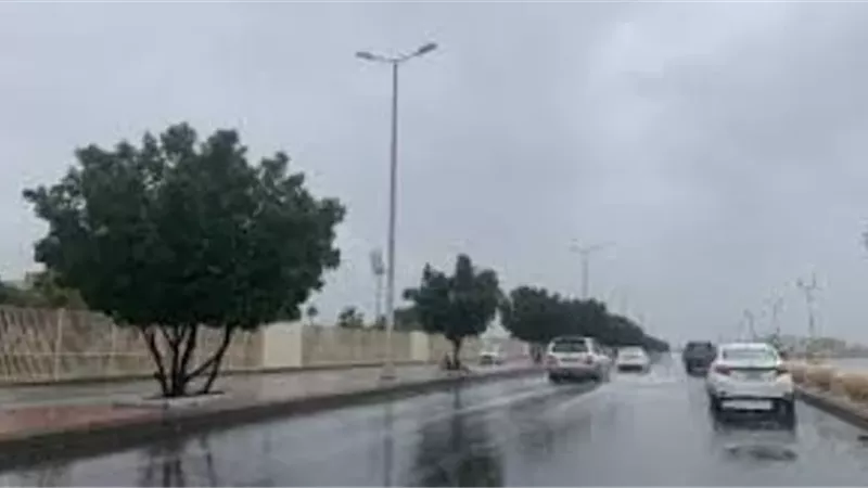 لسلامتك وصحتك..خطوات بسيطة لمواجهة الطقس الممطر