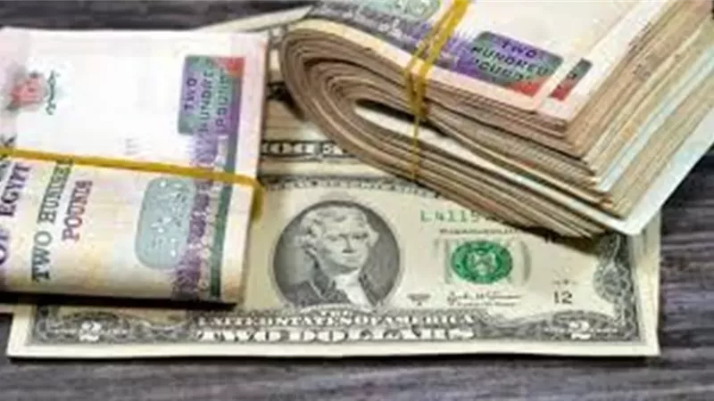 استقرار نسبي لسعر الدولار مقابل الجنيه اليوم