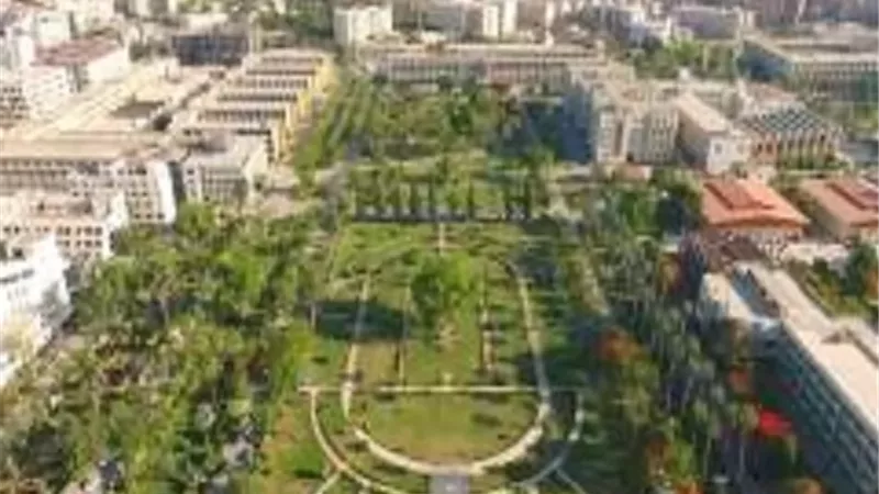 جامعة المنصورة تتصدر الجامعات المصرية في مجال محو الأمية
