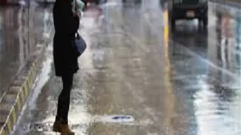 سنن النبي عند نزول المطر