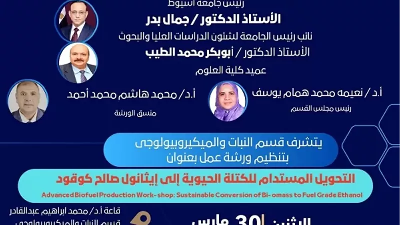 جامعة أسيوط تنظم ورشة حول تحويل الكتلة الحيوية لوقود مستدام