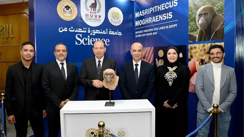 جامعة المنصورة تعلن عن اكتشاف تاريخ تطورالقردة العليا 